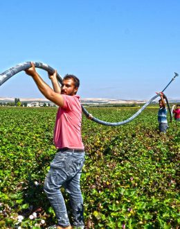 Uncertainty about the economic effect of the Mass Deportations