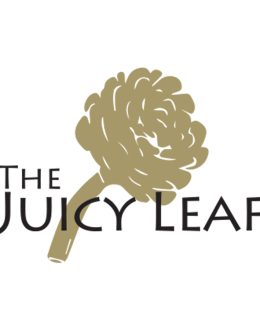 Plants, Designer Terrariums, Succulent Arrangements