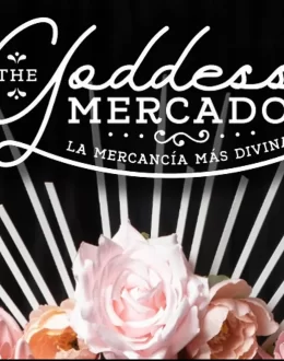 Assistance in Branding Graphic Design, and Mobile Boutique Presentation