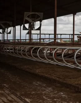 California declares emergency over bird flu outbreak