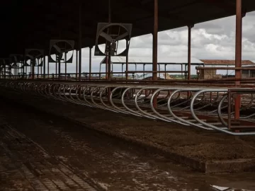 California declares emergency over bird flu outbreak