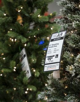 O Christmas tree, which is more sustainable: real or plasticky?