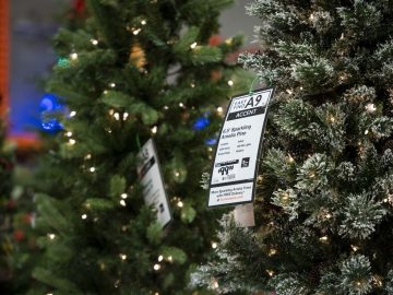 O Christmas tree, which is more sustainable: real or plasticky?