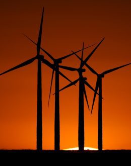 How a second Trump term will impact environmental and climate policy