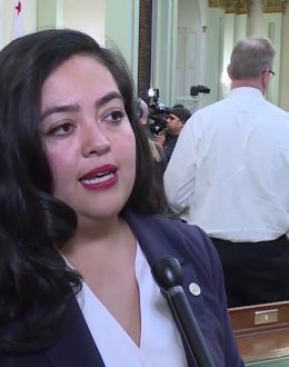 Wendy Carrillo Said Her DUI Was a Wake-Up Call For Her. Her Bill Tries to Help Students