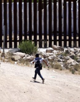 Prices of ‘Coyotes’ Increase Almost Threefold