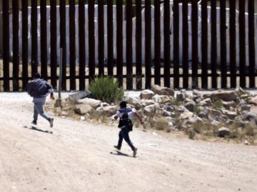 Prices of ‘Coyotes’ Increase Almost Threefold