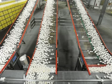 Egg prices will increase 41% this year in the US, according to official forecasts