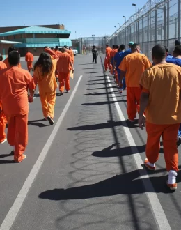 Only 12 individuals were reportedly picked up and detained at the Metropolitan Detention Center in LA