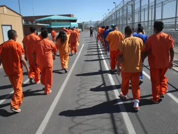 Only 12 individuals were reportedly picked up and detained at the Metropolitan Detention Center in LA