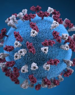 All You Need to Know About the Measles