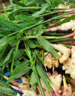 Ginger: Benefits, Uses, Myths, and Warnings