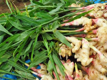 Ginger: Benefits, Uses, Myths, and Warnings