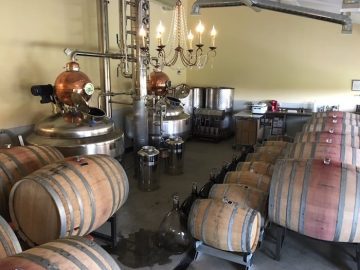 Could the U.S. Wine Industry Benefit from Trump’s Tariff Plan?