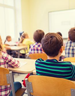 The destruction of the Department of Education: “The country does not need it”, Trump Administration