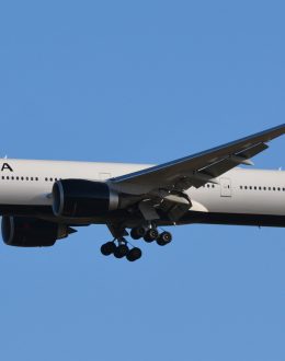 No more Disney World: International tourists cancel their travel plans to the US