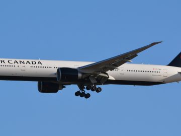 No more Disney World: International tourists cancel their travel plans to the US