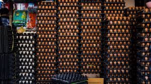 US Border Patrol is seizing more eggs than fentanyl at the borders