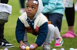 The US is on an egg hunt in Europe to ease prices at home