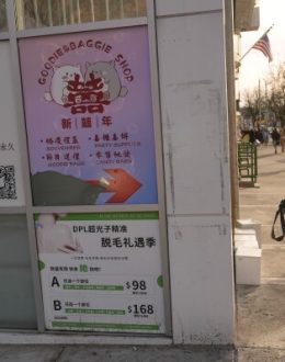 36% of Latinos support making English the official language of the US