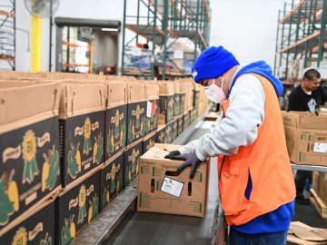 USDA halts millions of dollars worth of deliveries to food banks; millions lost in Central California