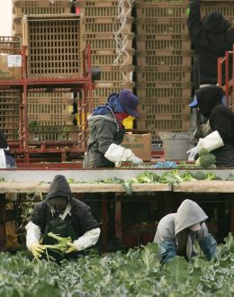 More than 6 million undocumented immigrants with ITINs could be affected by the IRS and ICE alliance