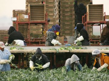 More than 6 million undocumented immigrants with ITINs could be affected by the IRS and ICE alliance