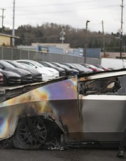 Violent attacks on Tesla dealerships spike as Musk takes prominent role in Trump White House