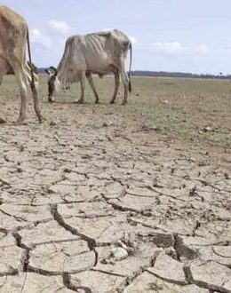 Water War at the Border: Why the U.S. and Mexico Are Clashing Over a 1944 Treaty