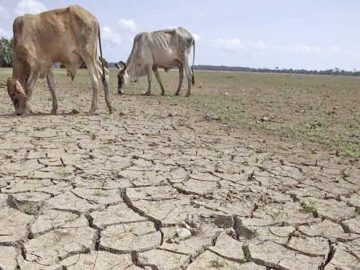 Water War at the Border: Why the U.S. and Mexico Are Clashing Over a 1944 Treaty