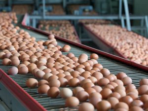 Why Isn’t Mexico Sending More Eggs?