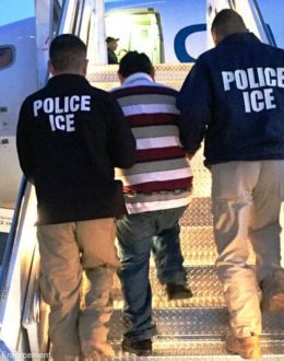 White House Will Not use the Foreign Enemies Law for Deportations-The Circus Continues.