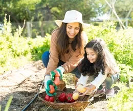 6 Easy Seps: How Your Own Vegetable Garden Could Outsmart Tariffs Rising Prices