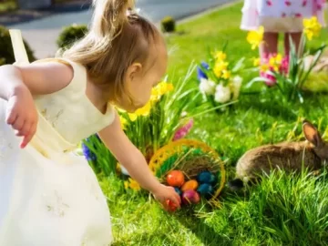 Hop Into the Fun this Easter with these 5 Unique Egg Hunt Ideas for an Unforgettable Sunday