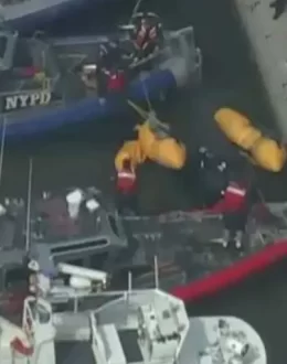 Spanish Family Including Ex-Siemens CEO Die in Hudson Helicopter Crash