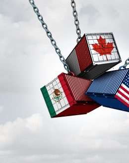 Trump Declares Trade War and Massive Global Tariffs Hit EU & Latin America—But Mexico, Canada, and Russia are Spared