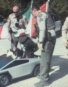 DJ Swagman: The musician conquering social media with messages of support for migrants, the Mexican flag, and his dog