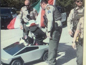 DJ Swagman: The musician conquering social media with messages of support for migrants, the Mexican flag, and his dog