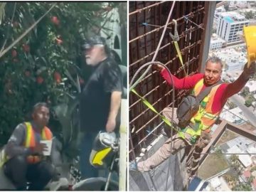 ‘Albañil’ Who Ran Away for Eating Outside Asks to Ignore ‘The Gringo’