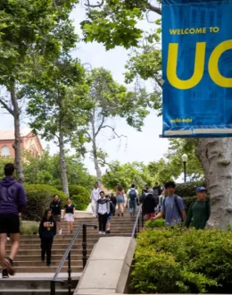 Visas revoked for some UCLA students, chancellor says