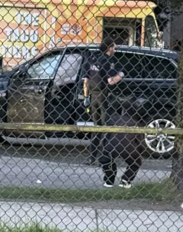 Vancouver: Nine killed and suspect arrested after vehicle hit crowd at Lapu-Lapu street festival