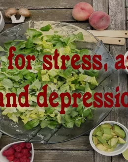 The Stress-Diet Connection: 10 Foods That Naturally Calm Anxiety