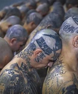 Trump Thanks Bukele for Accepting ‘Criminals’—Is This the Future of U.S. Immigration?