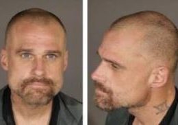 Los Angeles Police arrest suspected tree cutter