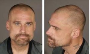 Los Angeles Police arrest suspected tree cutter