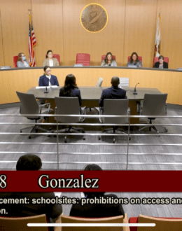 Hearing on SB 48 Limiting Immigration Enforcement at School is Monday-All you Need to Know and What’s Next