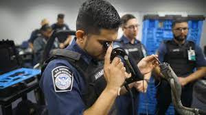 The 10 Most Common Questions When Crossing Immigration (CBP) in the United States