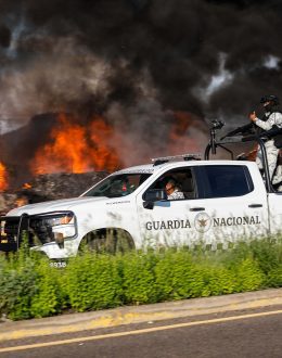 La Mayiza and the Guasave Cartel, the factions that united against Los Chapitos