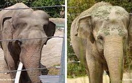 Billy and Tina have embarked on a journey from which there is no return