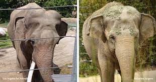 Billy and Tina have embarked on a journey from which there is no return